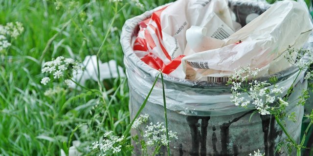 Neben dem Abrieb von Autoreifen ist Littering die Hauptquelle für Plastik in der Umwelt. (Bild Pixabay)