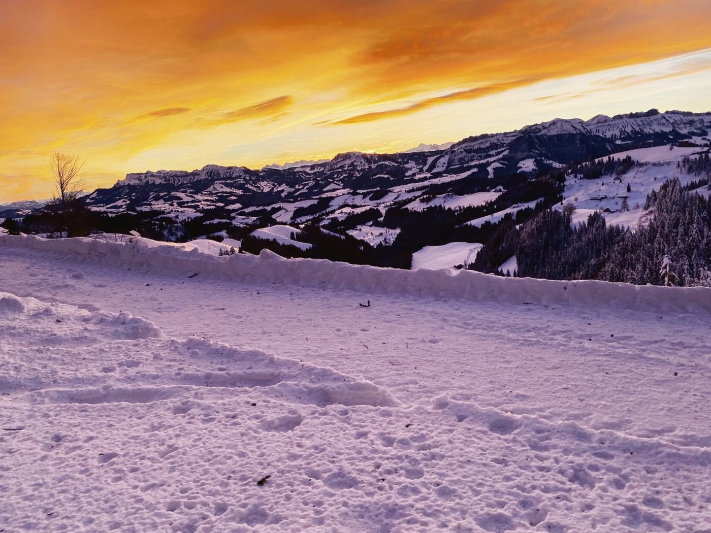 Der Lohn für solche Auf- und Abstiege sei auch die wunderbare Landschaft, in der die Tierärzte arbeiten dürfen.(Bilder Roland Lanz)