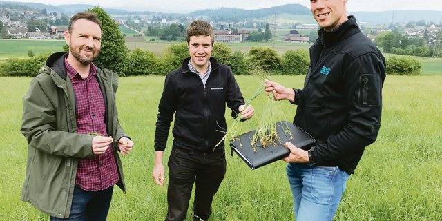 Daniel Nyfeler, Bruno Nabulon und Raphael Bernet sind gespannt auf die ersten Resultate des Übersaatversuches, die frühestens in einem Jahr zu erwarten sind.(Bild Alexandra Stückelberger)