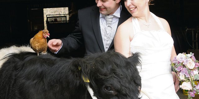 Die schöne Anina ist ein umgängliches und liebes Tier. (Bild zVg)