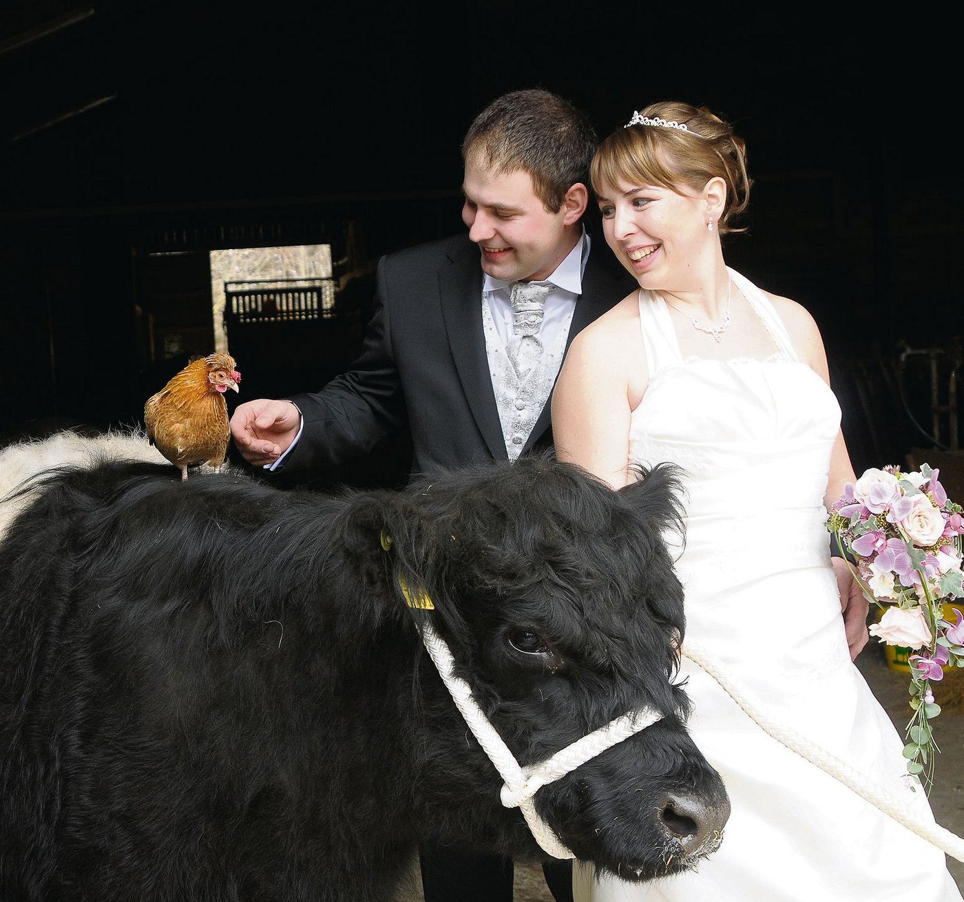 Die schöne Anina ist ein umgängliches und liebes Tier. (Bild zVg)