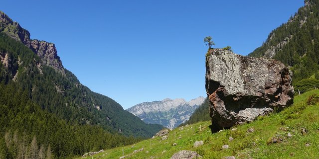 Im Murgtal lebt nachweislich ein Wolfsrudel, Stand Herbst 2020 gab es im Weisstannental ein Paar. (Bild Pixabay)