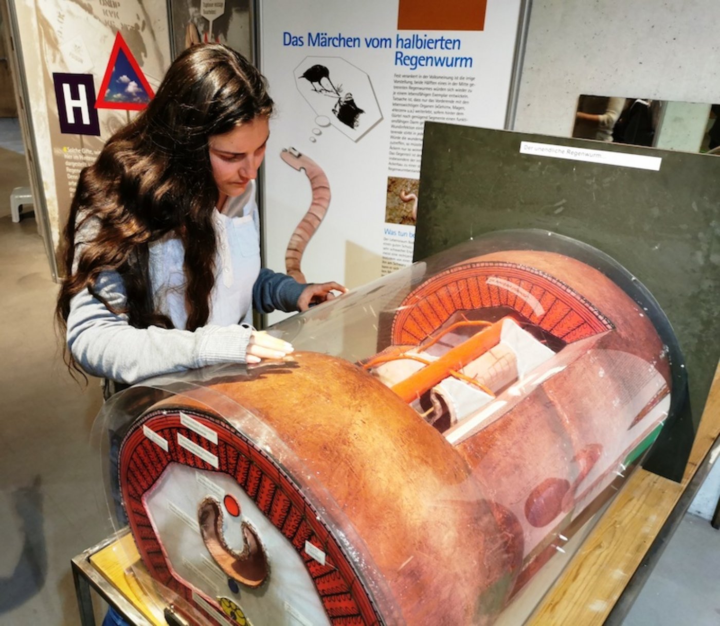 Wie funktioniert die Humusbildung im Regenwurm? Auch das wird in der Ausstellung anschaulich erklärt. (Bild zVg)