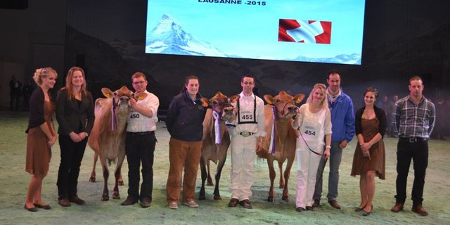 Champion (rechts): Gollettes Izzy Viviane, Erhard und Corinne Junker und Marc Junker, Iffwil / Reserve Champion (Mitte): Al.ce J Blackstone Bridget, Pietro Rinaldo Cerri und Söhne, Italien / Mention Honorable (links): ERLIgen May Mia, Werner Kenel, Arth