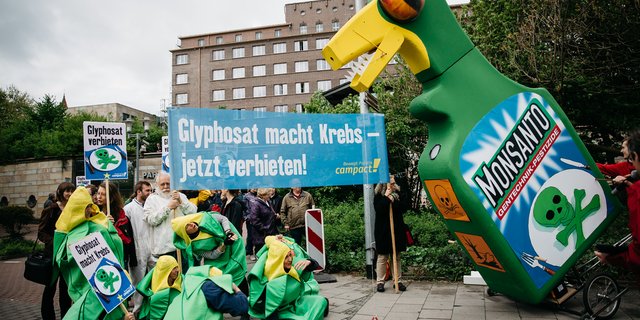 Gegner zweifeln das Urteil der Prüfbehörden – Glyphosat sei sicher – an. Bis 2018 wurde der Unkrautvernichter durch den US-Konzern Monsanto hergestellt und vertrieben. Danach hat die Bayer AG den Konzern übernommen sowie das schwere Erbe mit Glyphosat.  (Symbolbild Moritz Richter)