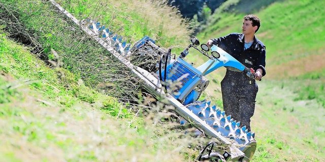 Mähen im Steilhang soll sich wieder lohnen.