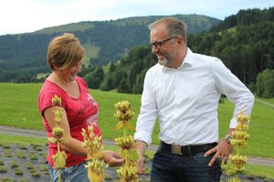 Kräuterbäuerin Ida Signer und Stefan Maegli, Geschäftsführer der Appenzeller Alpenbitter AG, mit Gelbem Enzian. Für den Alpenbitter wird die Enzianwurzel verwendet. (Bilder zVg)