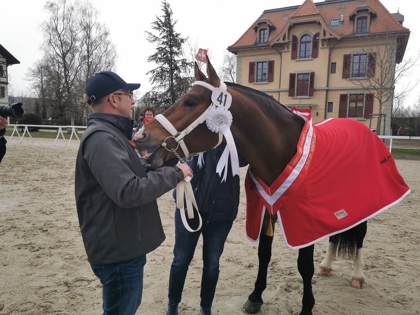 Die Freiberger Hengstkörung in Avenches muss aufgrund der Pandemie ohne Zuschauer durchgeführt werden. (Symbolbild sb)