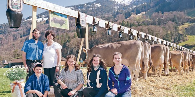 Die Züchterfamilie Föhn aus dem Muotathal sorgte mit der männlichen Zuchtfamilie vom Stier Wegas für ein züchterisches Highlight.  (Bild Reto Betschart)