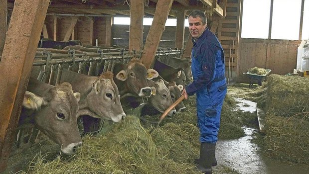 SMP-Kandidat Urs Werder führt im Toggenburg einen Biobetrieb. Auf die Braune Rasse setzt er, weil es unproblematische und langlebige Kühe sind und weil er Freude an der Zucht hat.