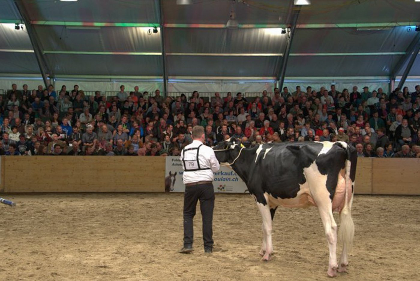 Wo es Wettbewerb gibt, ist der Neid nicht weit. Ein Züchter an der Bea-Expo im Mai 2017 führt seine Kuh vor. (Bild hja)