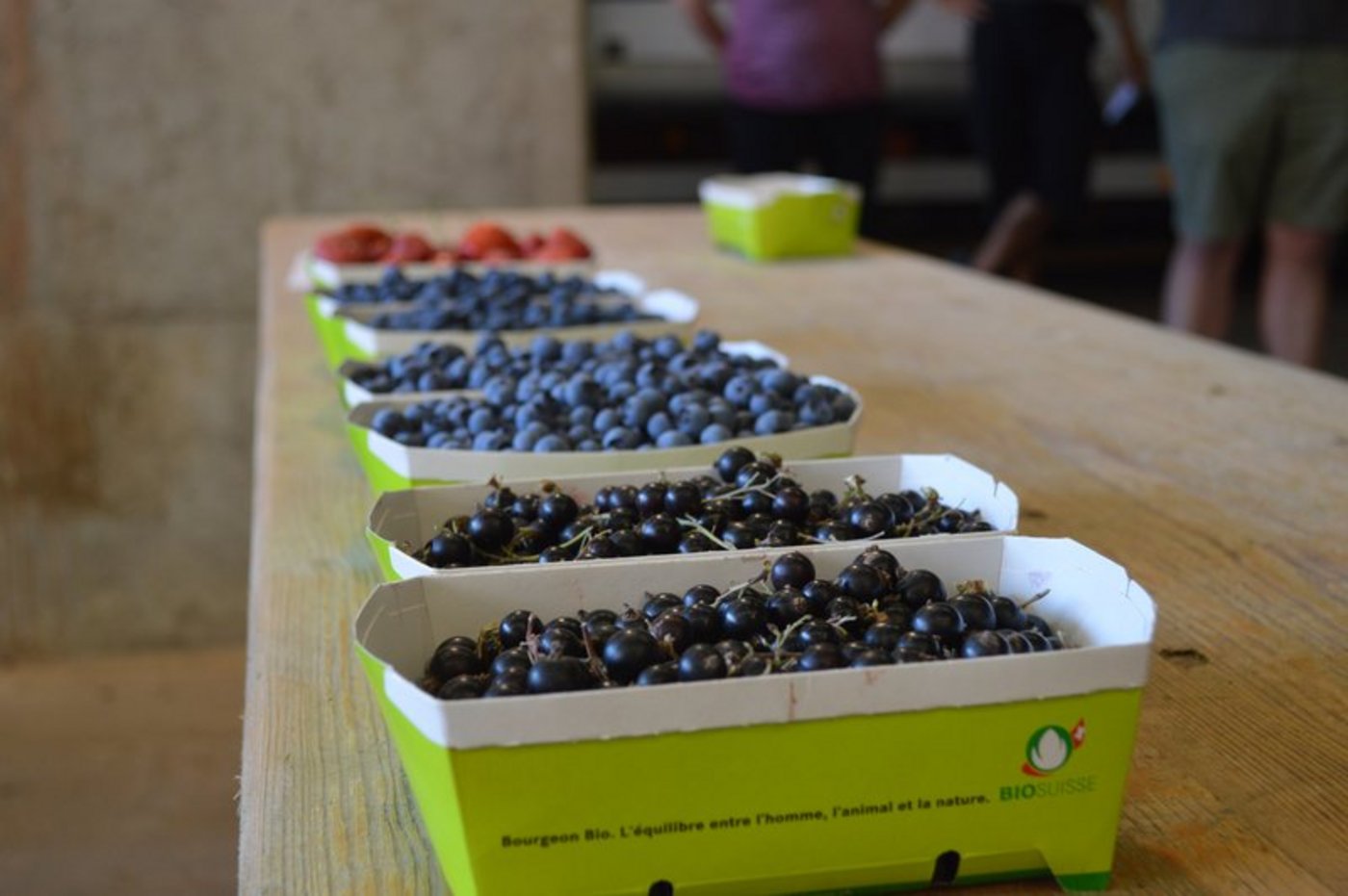 Livio Jannet liest sich in die Materie des Biolandbaus ein und merkt schnell: Das ist alles andere als einfach.  (Bild BauZ)