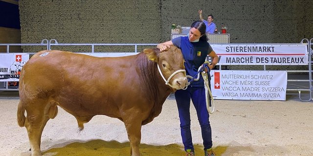 In der Vianco Arnea Brunegg wird es bei dieser Auktion ungewohnt leer sein. (Bild Mutterkuh Schweiz)