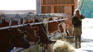 Der Stall ist genaus Der Stall ist genauso ihre Domäne wie die Küche: Die Definition der Bäuerin ist in Bewegung, wenn vielleicht auch nur langsam.