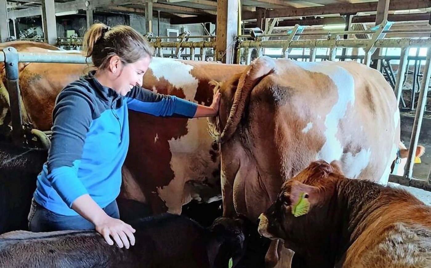 Sowohl in der Ammenkuhherde als auch bei den Milchkühen setzt Amanda Keller auf Deutsches und Österreichisches Fleckvieh. Die Betreuung von Kühen und Kälbern ist ein arbeitsintensiver Betriebszweig.
