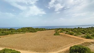 Der Mittelmeerraum h Der Mittelmeerraum hat diesen Sommer in weiten Teilen kaum Regen abbekommen. Trotzdem entzünden sich Feuer nicht durch die Hitze allein, in den allermeisten Fällen ist menschliches Zutun die Brandursache.