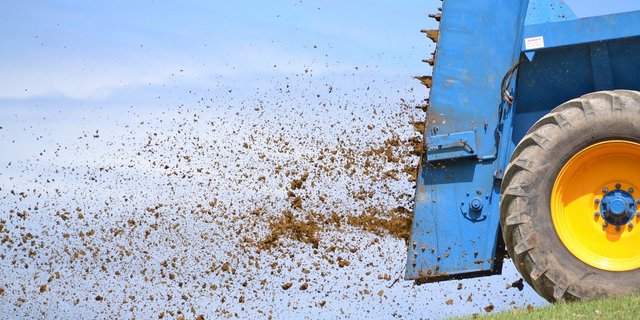 Je nach Weltregion stammen Lachgas-Emissionen eher aus Hofdüngern oder anderen stickstoffhaltigen Düngemitteln. (Symbolbild Pixabay)