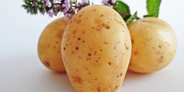 Konsumenten wollen perfekte Kartoffeln. (Bild pixaby)