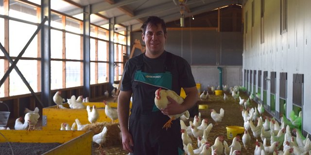 Michael Stacher hat trotz Verordnungen des BLV keine Einschränkungen in der Legehennenhaltung. (Bild Stefanie Giger)