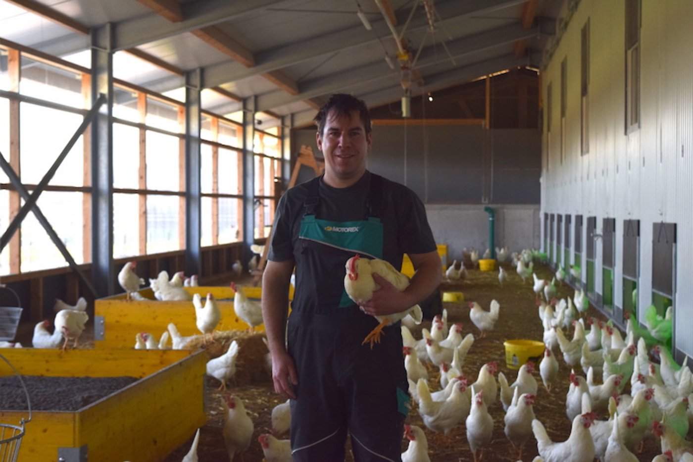 Michael Stacher hat trotz Verordnungen des BLV keine Einschränkungen in der Legehennenhaltung. (Bild Stefanie Giger)