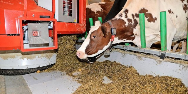 Melkroboter, Entmistungsroboter, Fütterungsroboter (Bild): Automatisierte Systeme sind in der landwirtschaftlichen Praxis schon längst verbreitet.