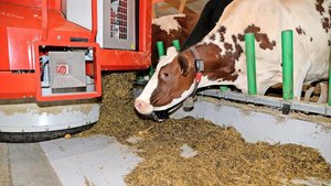 Melkroboter, Entmist Melkroboter, Entmistungsroboter, Fütterungsroboter (Bild): Automatisierte Systeme sind in der landwirtschaftlichen Praxis schon längst verbreitet.