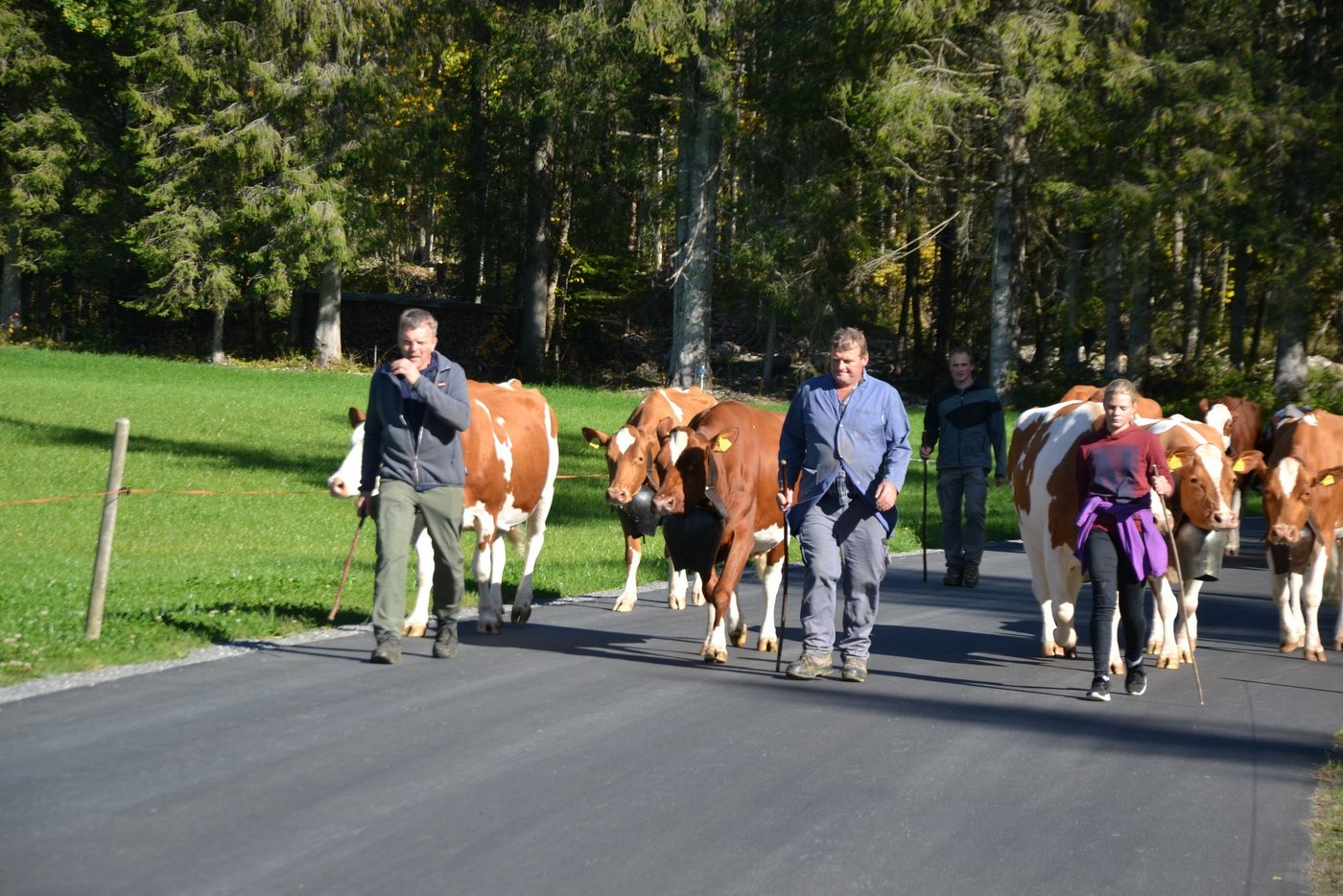 Herbzeit ist Viehschauzeit: So auch am Freitag im Kemmeribodenbad BE. (Bilder Peter Fankhauser)