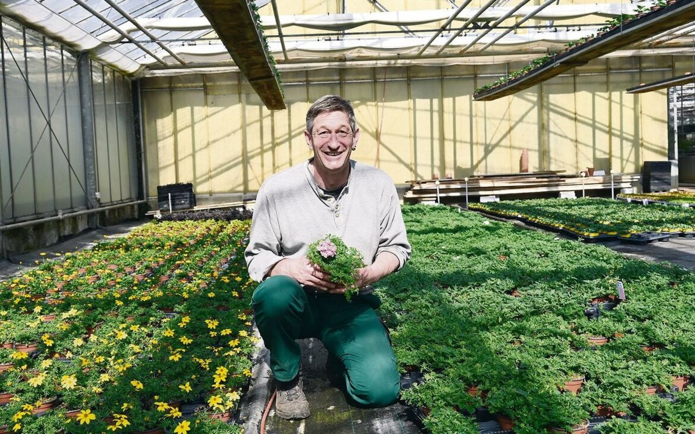 Die Jungpflanzen bei Daniel Riem gedeihen gut im Gewächshaus. Noch ist es viel zu früh für die Pflanzung draussen. 