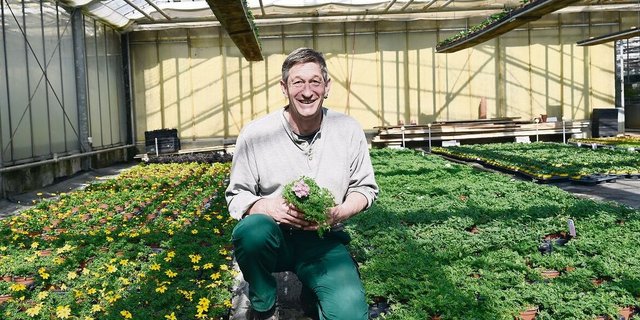 Die Jungpflanzen bei Daniel Riem gedeihen gut im Gewächshaus. Noch ist es viel zu früh für die Pflanzung draussen. 