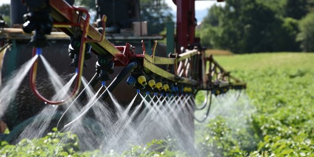 Zwei Standesinitiativen zum Thema Glyphosat hat die WAK abgelehnt. Sie ist der Ansicht, dass eine umfassende Risikoreduktion für den Pestizideinsatz zielführender ist als Regelungen für einzelne Stoffe. (Bild Thomas Steiner)