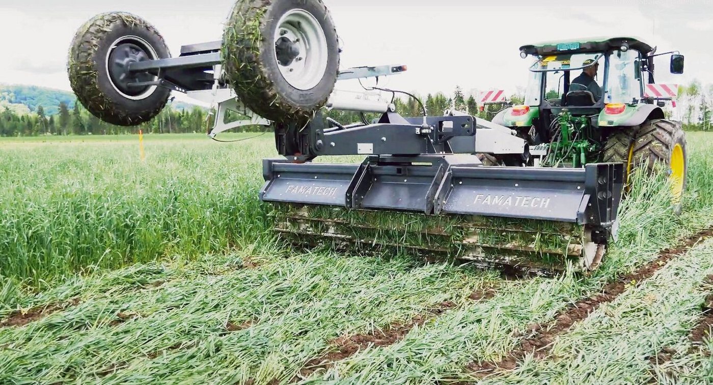 Die Messerwalze quetscht Pflanzenstängel und bringt sie so zum Absterben.