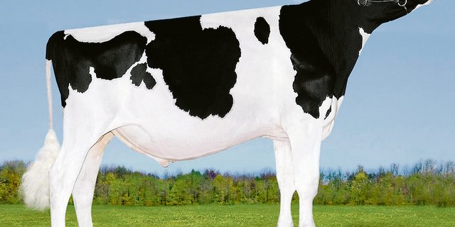 Bei Avalanche scheiden sich die Geister: In der Schweiz darf er nicht eingesetzt werden.(Bild Patty Jones)