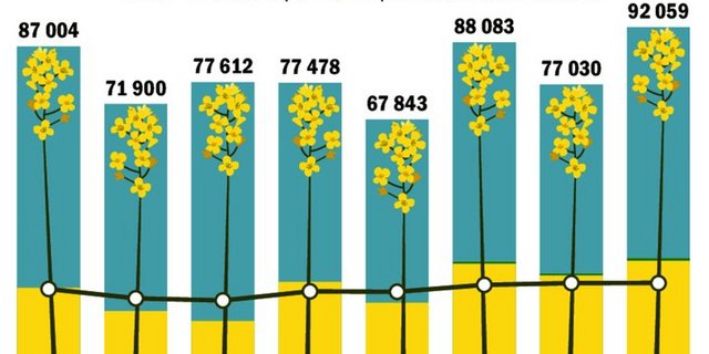 Die verwendbare Produktion der letzten acht Jahre: Die waagrechte Linie zeigt die Anbaufläche, die sich zwischen rund 20 000 und 25 000 ha bewegt.
