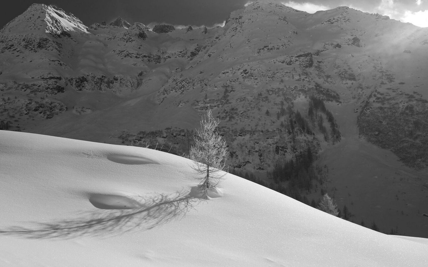 Während hier im Oberwallis die Lärche für ihr Brennholz geschätzt wird, war es die Föhre, die für ihre saftreichen Wurzeln beliebt war.