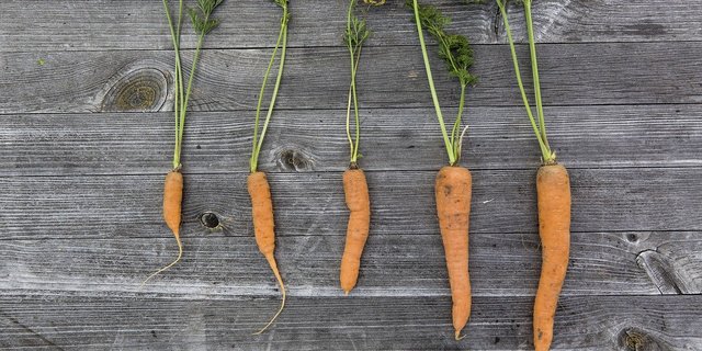 « Die negativen Auswirkungen von Produktion und Konsum auf die Umwelt sind aufgrund von Marktversagen und einem Mangel internationaler Koordination noch zu wenig in den Preisen von Gütern berücksichtigt», heisst es in der SNE. (Bild Pixabay)