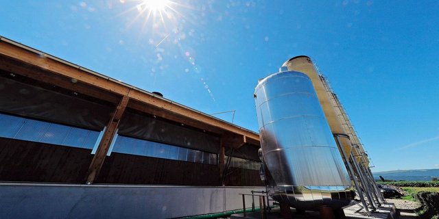 Energieeffiziente Ställe wie dieser Geflügelstall aus dem Bernbiet liegen im Trend: Der Betrieb hat eine Solaranlage mit einer Wärmepumpe kombiniert, um Energie (und damit Heizkosten) zu sparen.