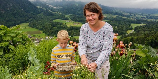 So geht das Kräuterpflücken einfacher: Sohn Manuel hält seinem Mami Helene Matter den Korb beim Pflücken der Kamillen für die Kräuterteemischung. (Bild Erika Rebsamen)