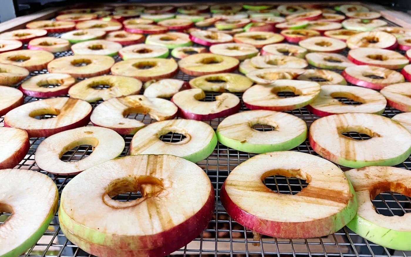 Äpfel in Form von Schnitzen und Ringli (hier von der Sorte Boskoop) sieht man in der Dörranlage häufig.