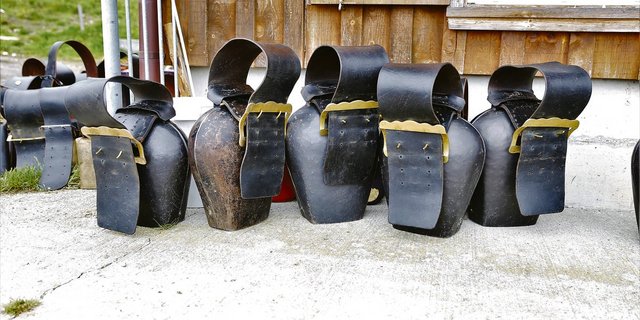 Rund zehn Tage früher also sonst wurden die meisten Zentralschweizer Alpen bestossen.(Bild reb)