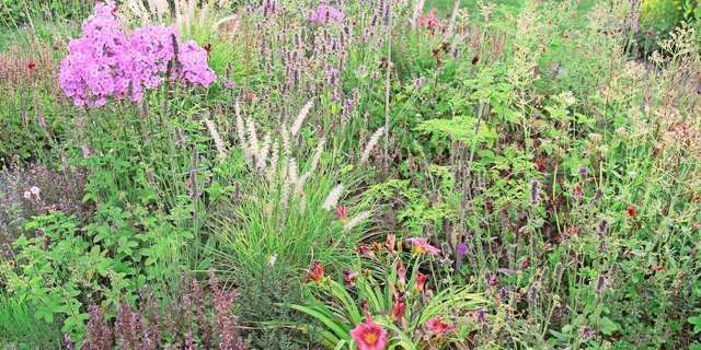Eine von Daniel Labharts Staudenmischungen, bei der die Pflanzen nach Farben, Höhe, Wuchs- und Blütezeiten aufeinander abgestimmt sind. So blüht vom zeitigen Frühjahr bis in den Spätherbst immer etwas im Beet. 
