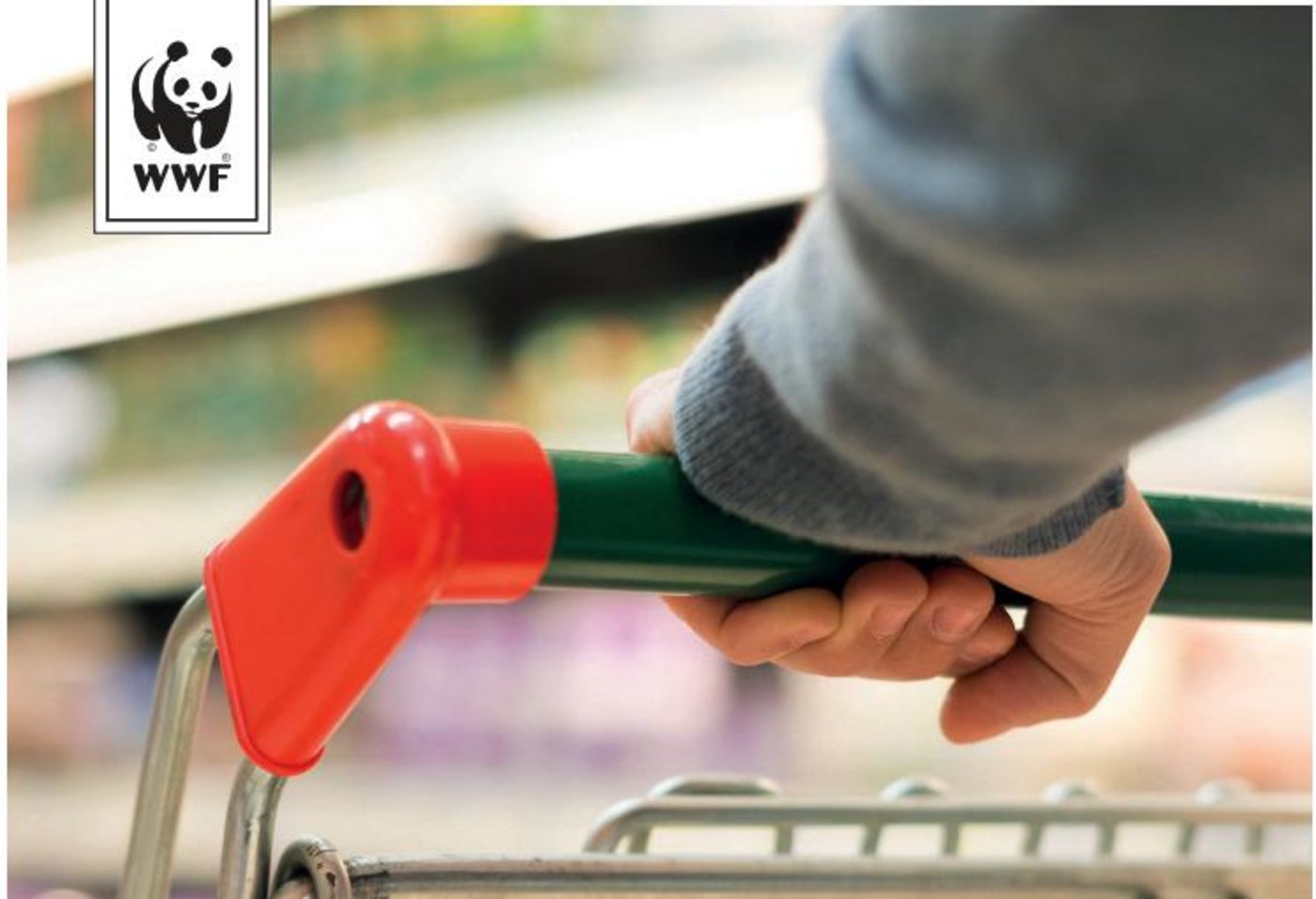 Obwohl es Verbesserungen gebe, sieht der WWF noch diverse Möglichkeiten für Verbesserungen in Sachen Umwelt bei den Schweizer Detailhändlern. (Bild Retail Report WWF)