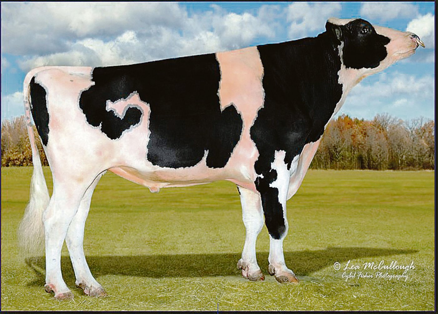 Mr Lookout P Enforcer (Wabash-Way-I Shottle Ember)