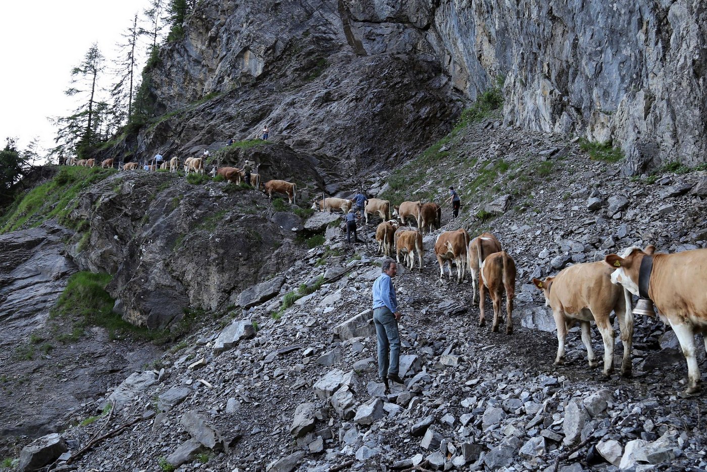 Der Weg auf die Engsligenalp ist steil und mühsam.