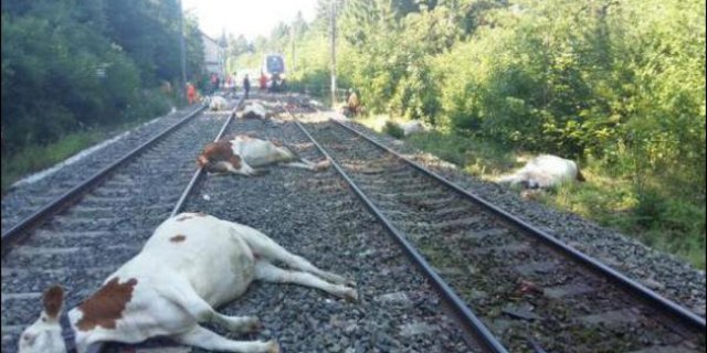 Nach dem Zusammenstoss gleichen die Gleise einem Schlachtfeld. (Bild Twitter)