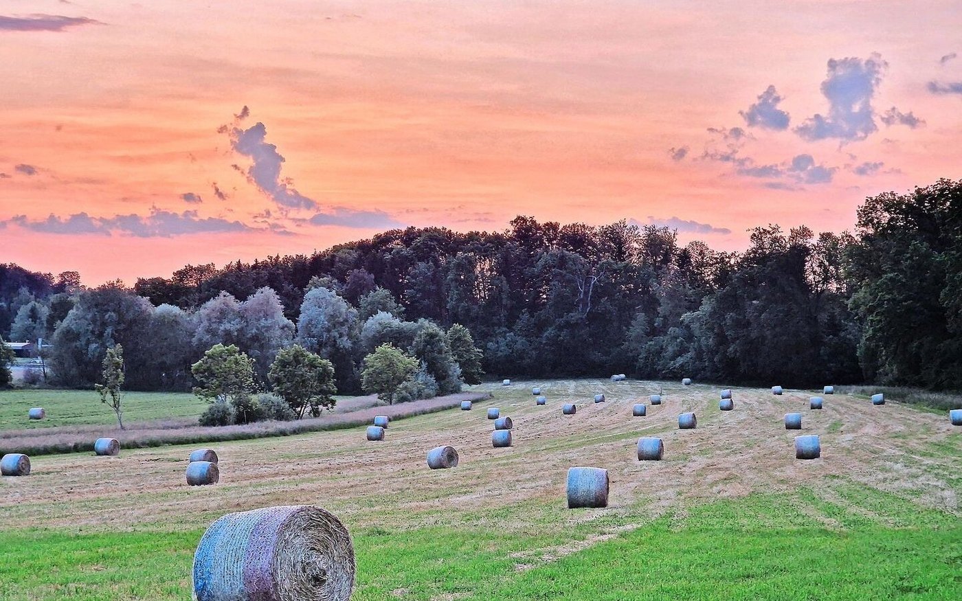 In der Landwirtschaft sind die Tage lang und die Arbeit körperlich fordernd. Welche (finanziellen) Vorteile in der Einkommens-Berechnung berücksichtigt aber werden sollten, ist umstritten.