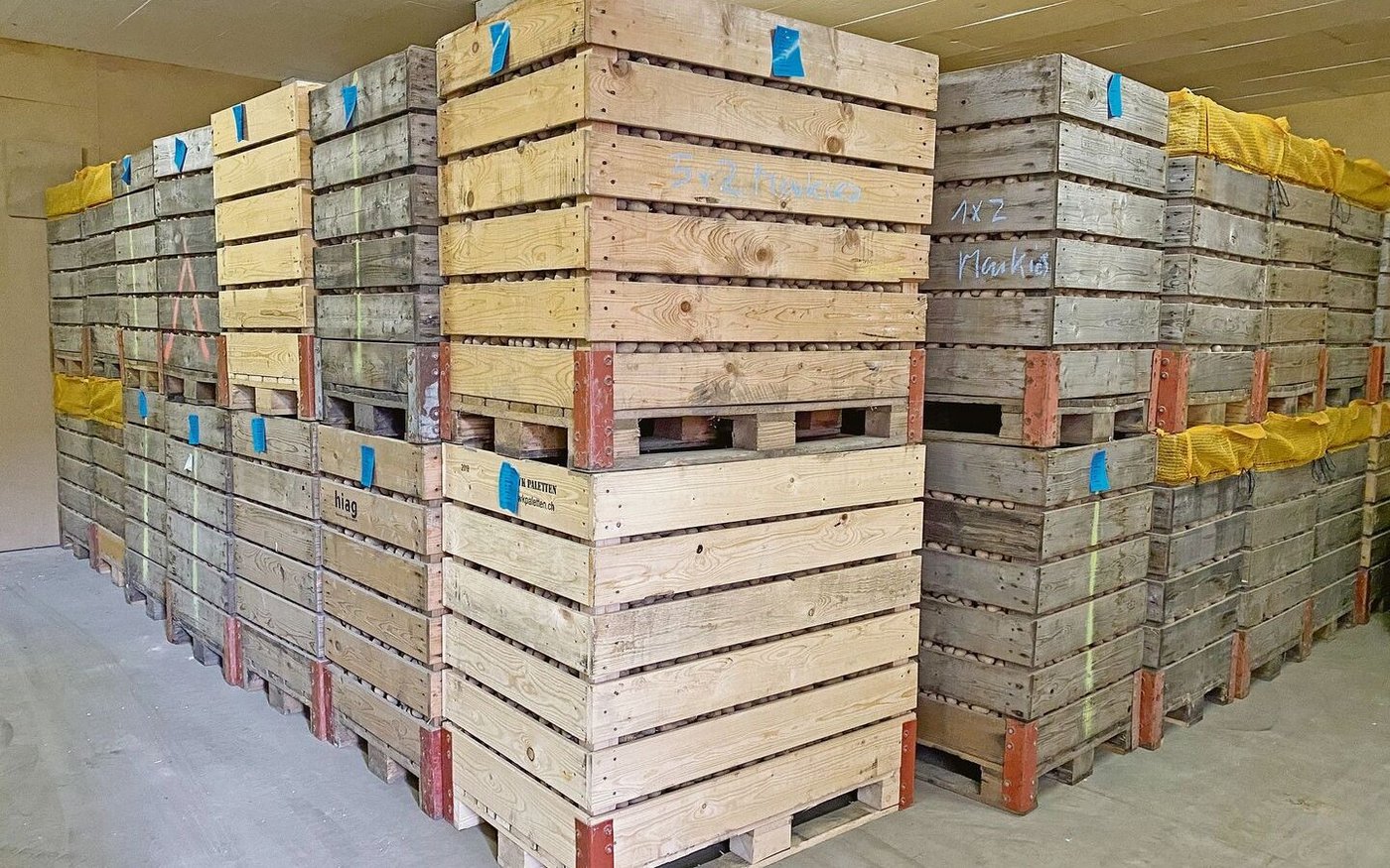 Die einfachste Vorbereitung aufs Setzen ist das Erwärmen in Paloxen an der warmen Frühlingsluft.