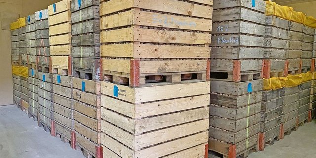 Die einfachste Vorbereitung aufs Setzen ist das Erwärmen in Paloxen an der warmen Frühlingsluft.