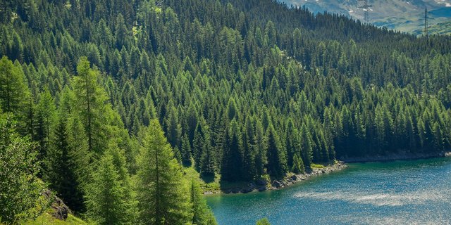 Die Mitglieder der HMK tauschten sich an der Sitzung über Massnahmen für die aktuelle Krisensituation aus. (Bild pixabay)