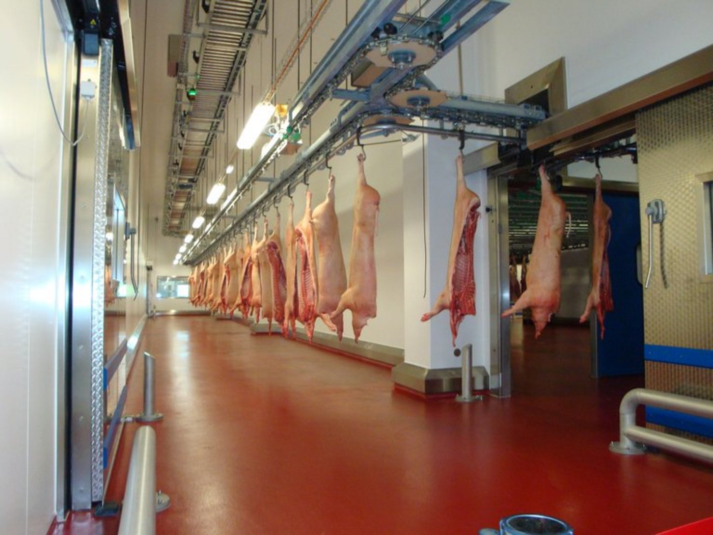 Die Schlachtmengen überstiegen wegen des schlechten Sommers 2014 die Nachfrage. (Bild lid)