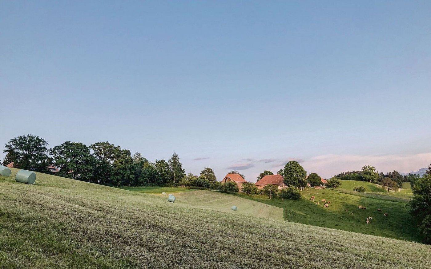 Weil die Erntebedingungen nicht immer so wolkenlos waren wie hier im Bild, ist mit tiefen TS-Gehalten (20 bis 25 % TS) zu rechnen. Das führt zu einem anderen Gärsäuremuster.